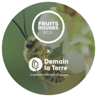 FRUITS ROUGES & Co. en 2004
