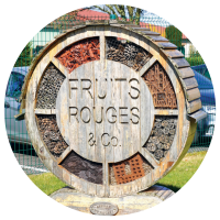 FRUITS ROUGES & Co. en 2010