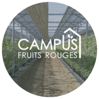 FRUITS ROUGES & Co. en 2024