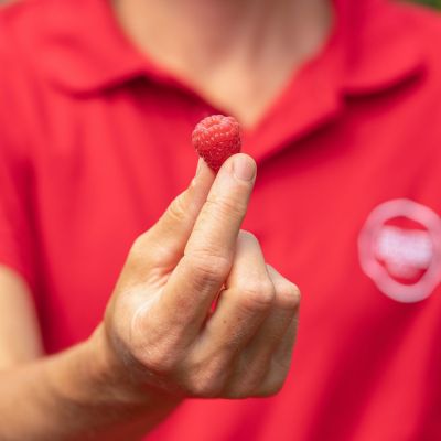 La framboise
