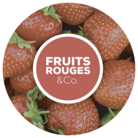 FRUITS ROUGES & Co. en 2015